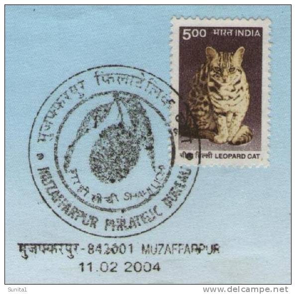 Philatelic Exhibition, Buddha,lichi,fruit,india, Philatelic Bureau,special Cover, Pictorial Postmark - Cartas & Documentos