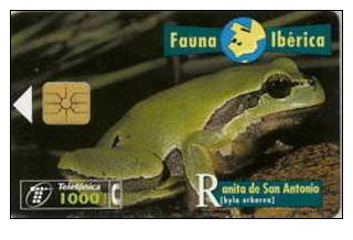 # SPAIN PU116 Ranita De San Antonio 1000 Orga 08.96  -grenouille,frog- Tres Bon Etat - Sonstige & Ohne Zuordnung