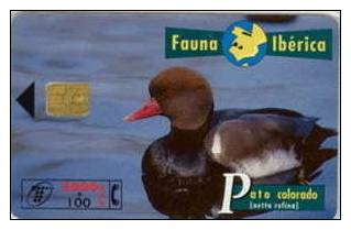 # SPAIN PU118 Pato Colorado 2100 Orga 09.96  -animal- Tres Bon Etat - Otros & Sin Clasificación