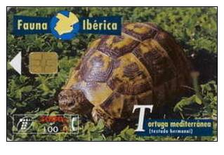 # SPAIN PU124 Tortuga Mediterranea 2100 Orga 03.97  -animal,tortue,turtle- Tres Bon Etat - Autres & Non Classés