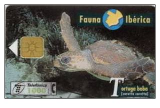 # SPAIN PU125 Tortuga Boda 1000 Mac 03.97 -animal,tortue,turtle- Tres Bon Etat - Otros & Sin Clasificación