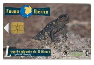 # SPAIN PU154 Lagarto Gigante De El Hierro 1000 Orga 07.97 -animal- Tres Bon Etat - Altri & Non Classificati
