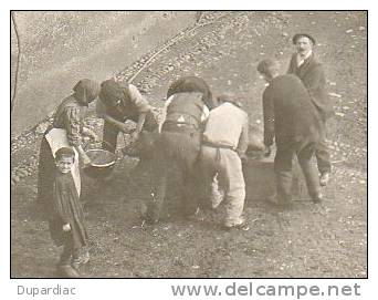 65 - Hautes Pyrénées /  Carte Photo  D´ OSSUN : Le Pèle-Porc ( Le Tue-cochon ) - Ossun