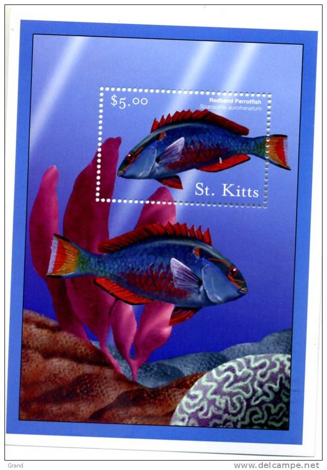 Poisson Exotique-ST Kitts-bloc 2001***MNH - Fishes