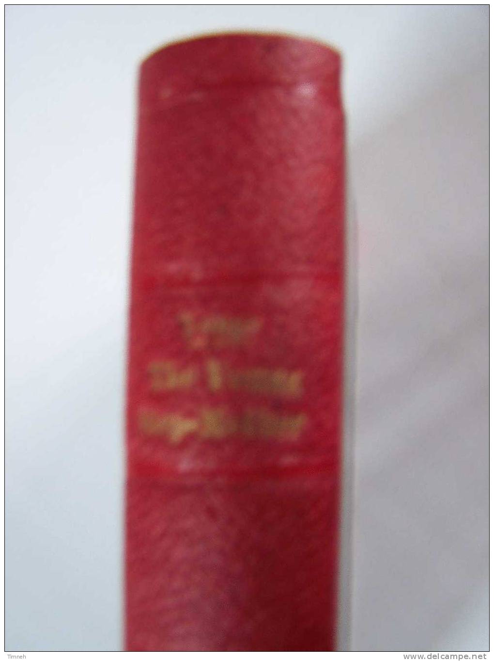 THE YOUNG STEP-MOTHER Or A Chronicle Of Mistakes-by YONGE -vol.N°578-EDITION TAUSCHNITZ LEIPZIG -COLLECTION BRITISH AUTH - Autres & Non Classés