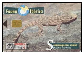 # SPAIN A10  Salamanquesa Comun 2000 Orga 12.98 -animal- Tres Bon Etat - Altri & Non Classificati