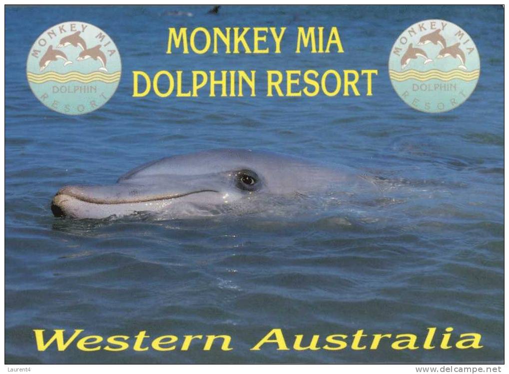 (507) Monkey Mia (UNESCO) - Dolphin - Autres & Non Classés