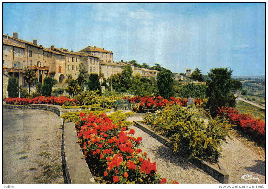 Carte Postale 82. Montpezat-de-Quercy  Trés Beau Plan - Montpezat De Quercy