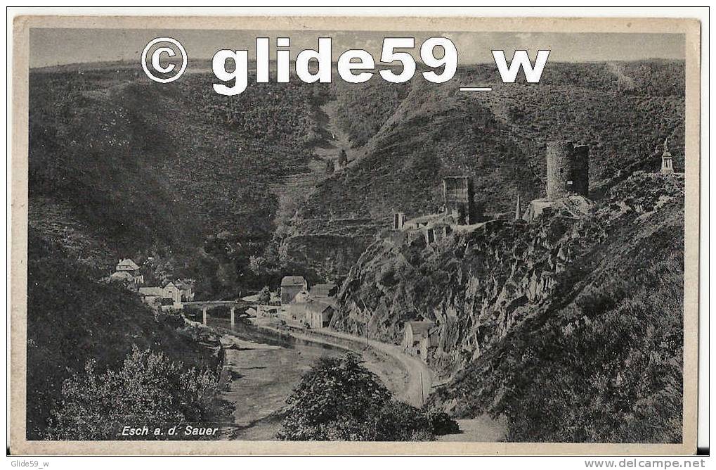 ESCH A. D. SAUER - Hotel Der Ardennen (carte Publicitaire) - Esch-Sauer