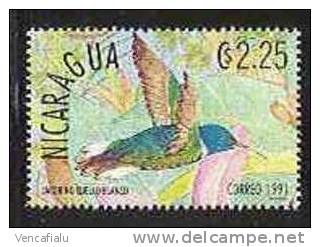 Nicaragua 1993 - Bird, 1 Stamp, MNH - Kolibries