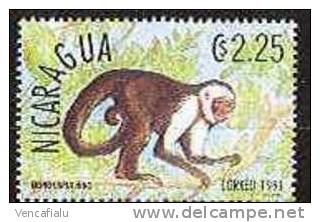Nicaragua 1993 - Monkey, 1 Stamps, MNH - Affen