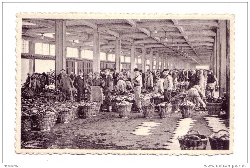 CPA. OSTENDE.  Pêcheurs Ostendais Vendent Ici à La Criée Les Produits De Leur Pêche. POISSON.  VIEUX METIERS. - Markthallen