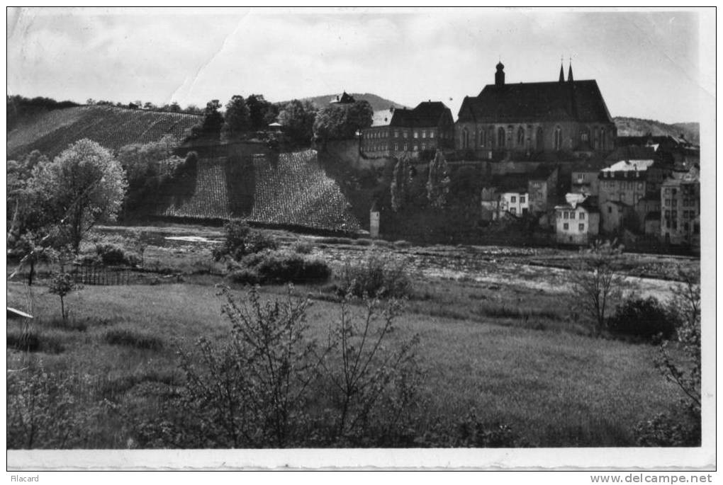 11305    Germania Saarburg - Palatinat  NV  (scritta) - Saarburg