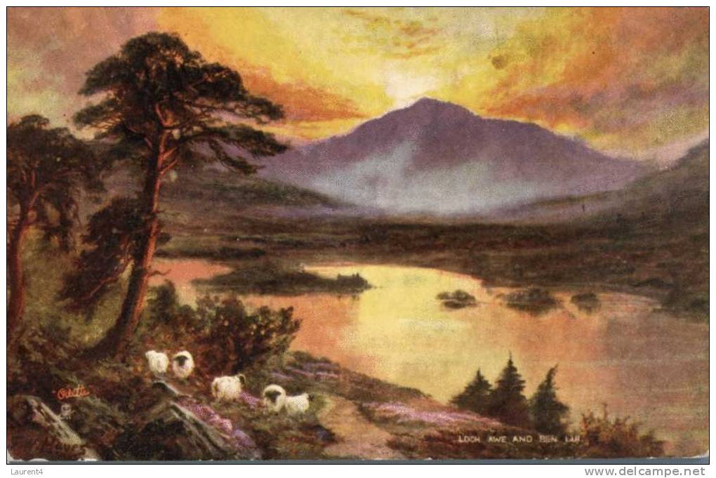 (430) Old England Postcard -  Mountain And Sheep - Argyllshire