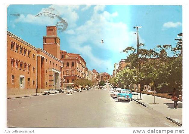 47365)cartollina Illustratoria Caltanissetta - Viale Regina Margherita E Panorama - Caltanissetta