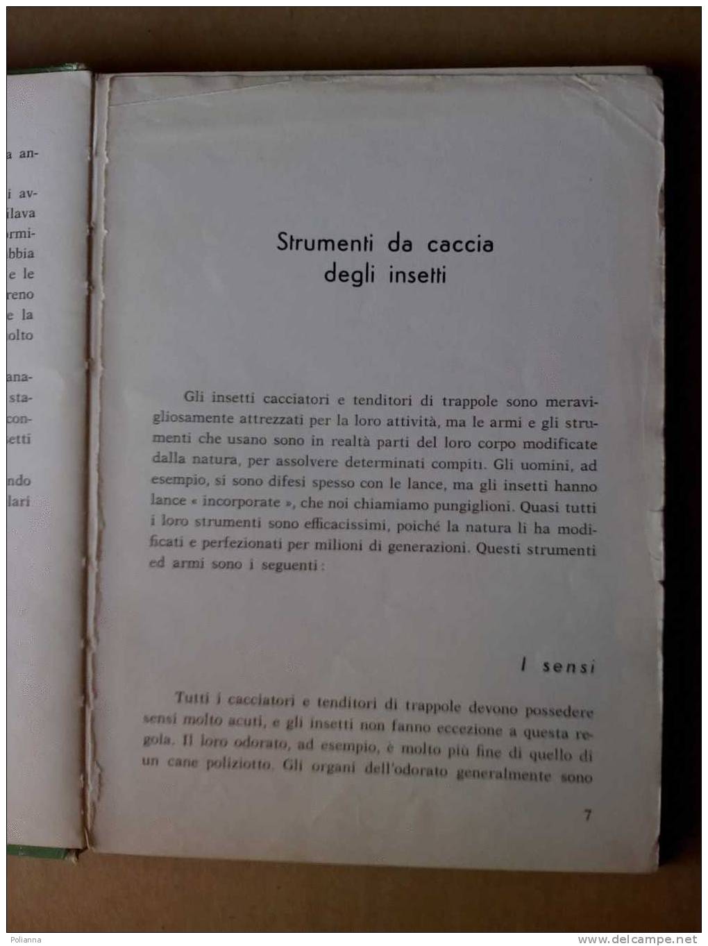 PE/15 Hutchins - INSETTI CACCIATORI Fabbri 1970 Illustrazioni Cozzaglio / Entomologia - Natur