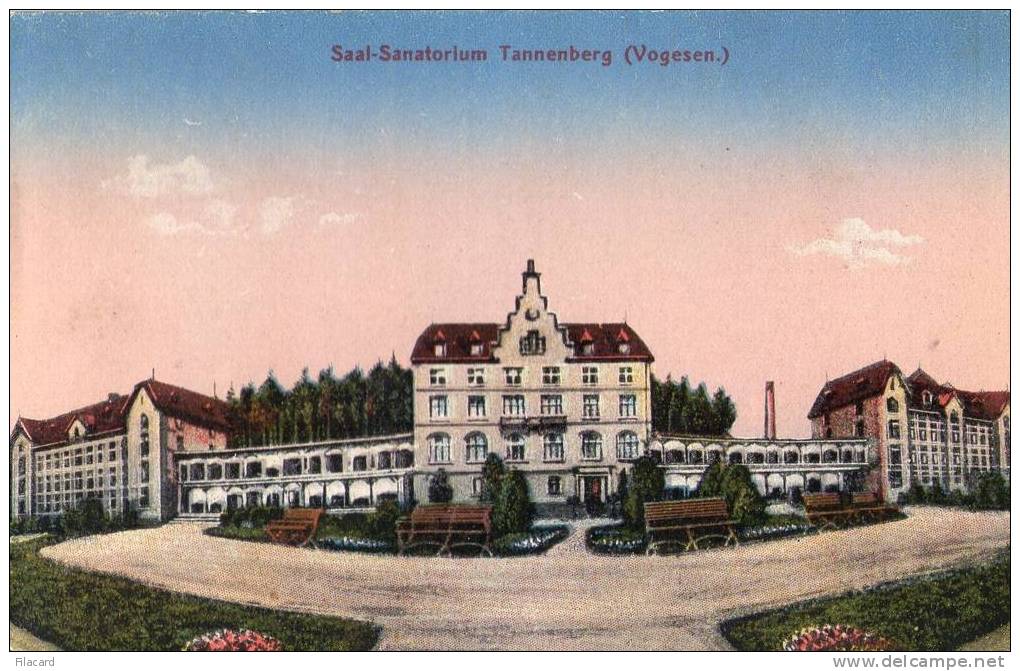 11354  Germania  Saal-Sanatorium  Tannenberg (Vogesen)  NV - Lothringen