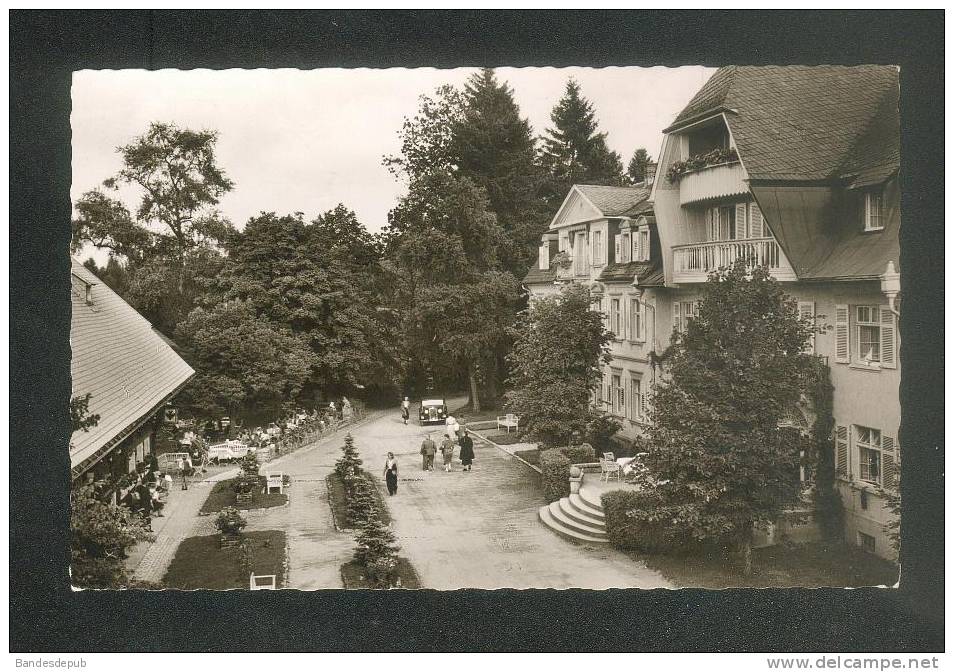 CPSM - Allemagne - HINTERZARTEN - Hochschwarzwald - Par Hotel Adler (animée Gebr. Metz ) - Hinterzarten