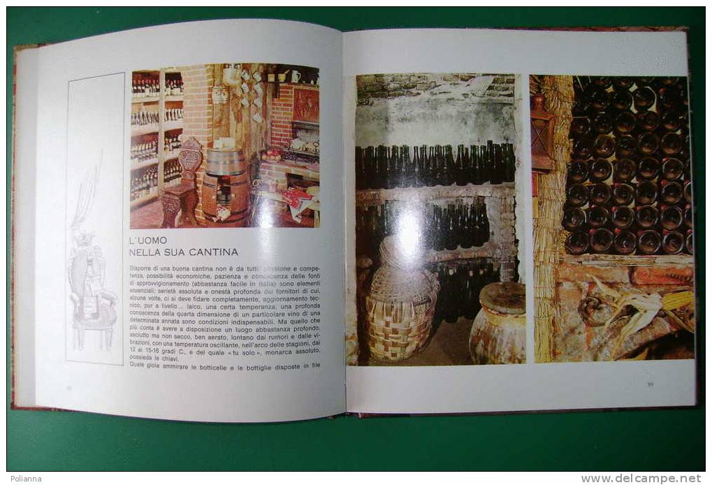 PDL/3 11 Vol. CANTINA E BAR Fabbri Ed.1968/VINO/LIQUORI/VITE/UVA/VENDEMMIA/SPUMANTI/COCKTAILS - House & Kitchen