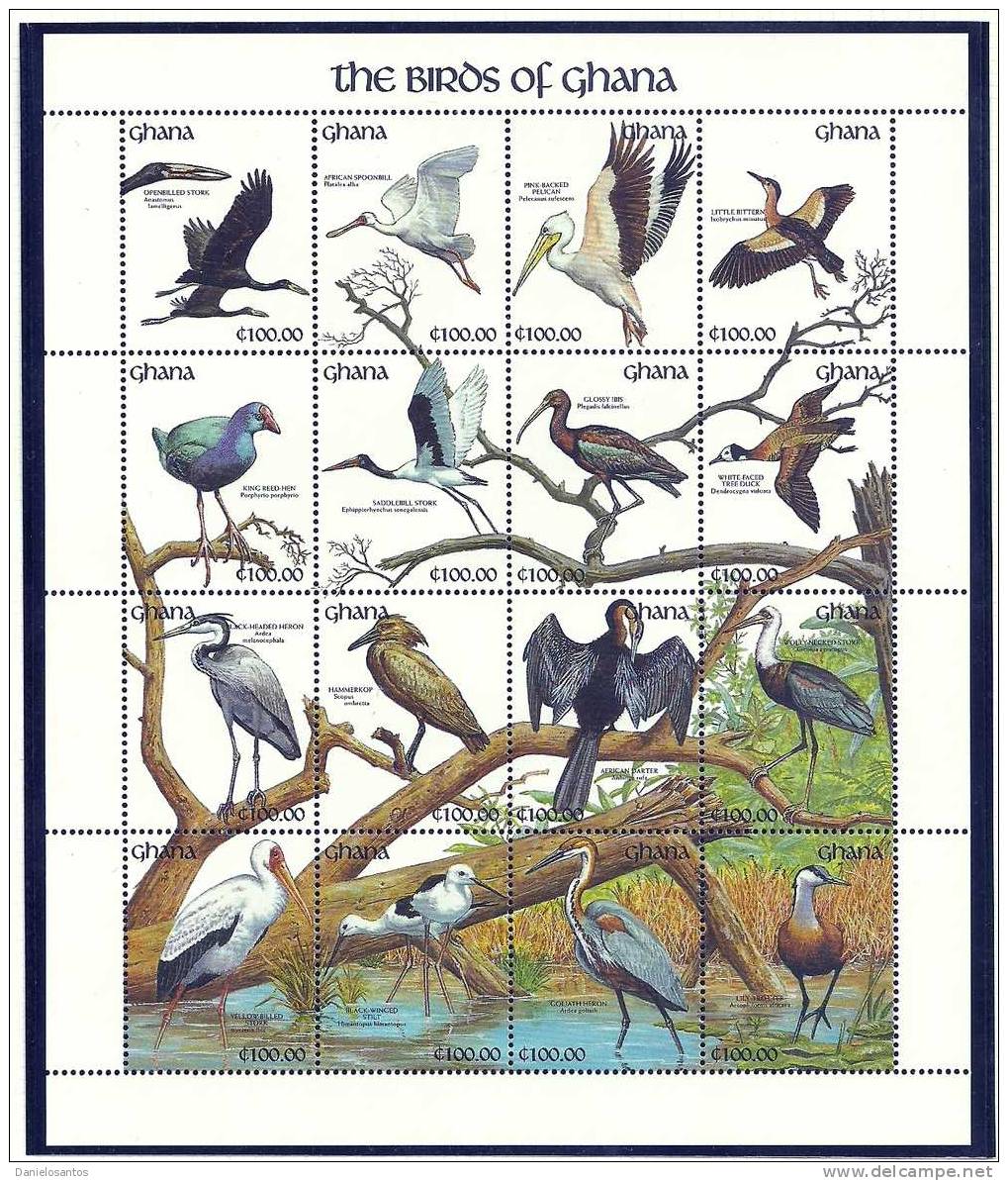 Ghana 1991 Birds Oiseaux  Aves Spoonbill Pelican Stork  Heron Jacana Sheet MNH - Storks & Long-legged Wading Birds
