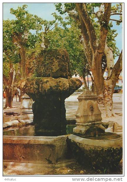 PERNES LES FONTAINES Fontaine Du Ours De La République - Pernes Les Fontaines