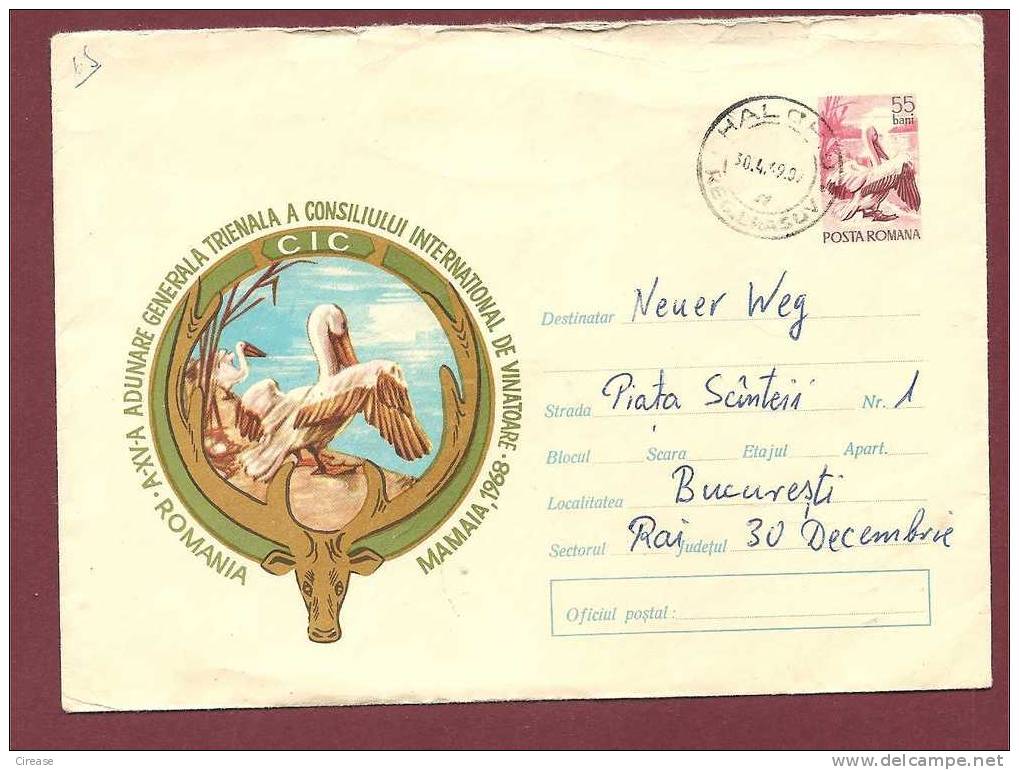 Birds Pelicans  Postal Stationery Cover. 1968 - Pelikane