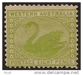 WESTERN AUSTRALIA 1905 8d SG 144 Cat 18.00 HM RR52 - Ungebraucht