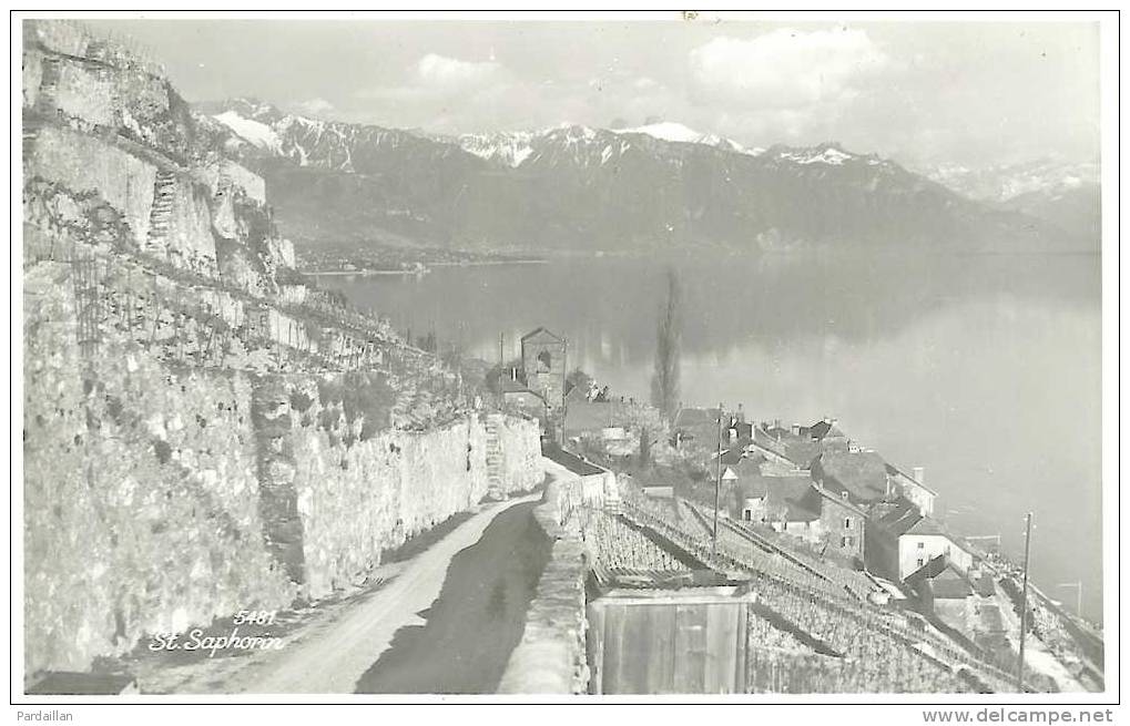 SUISSE.  CARTE PHOTO. ST-SAPHORIN.  BEAU PLAN - Saint-Saphorin