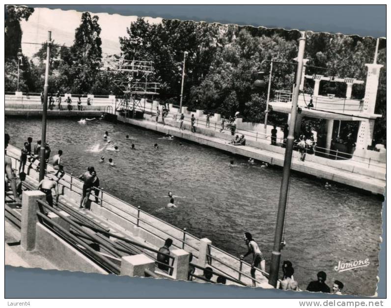 (801) Swimming - Swimming Pool - Natation - Piscine - Algeria - Constantine - Swimming