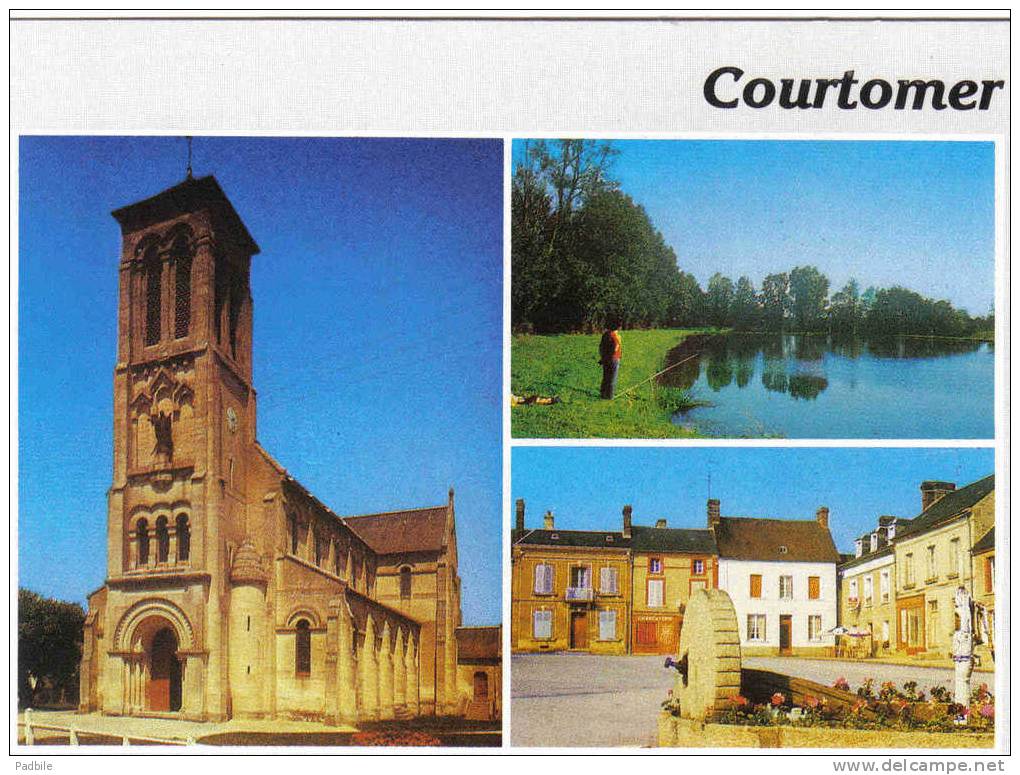 Carte Postale 61. Courtomer  Trés Beau Plan - Courtomer