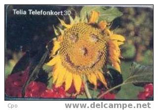 # SWEDEN 60111-128 Sunflower 30 Gem 03.96 -fleurs,flowers- Tres Bon Etat - Svezia