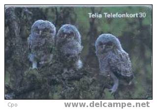# SWEDEN 60111-167 Three Owls 30 So3 08.96 -owl,hibou- Tres Bon Etat - Sweden