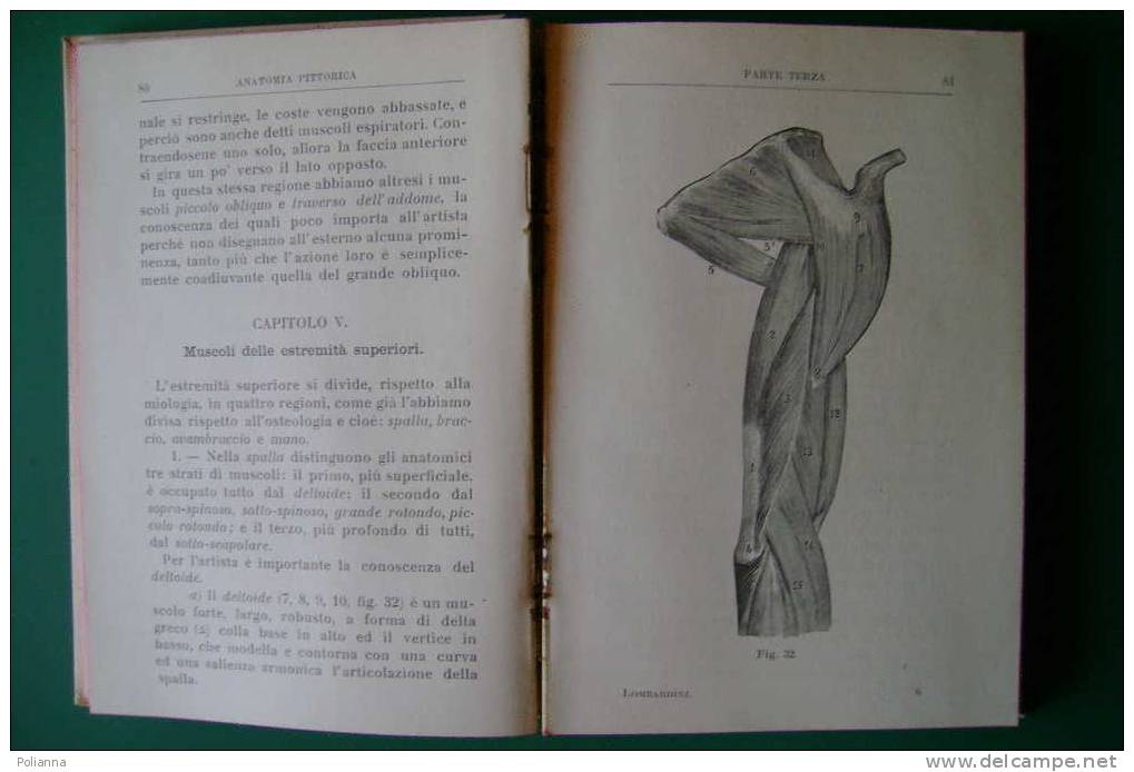 PDL/35 Lombardini MANUALE DI ANATOMIA PITTORICA Hoepli 1913/disegno - Arts, Architecture