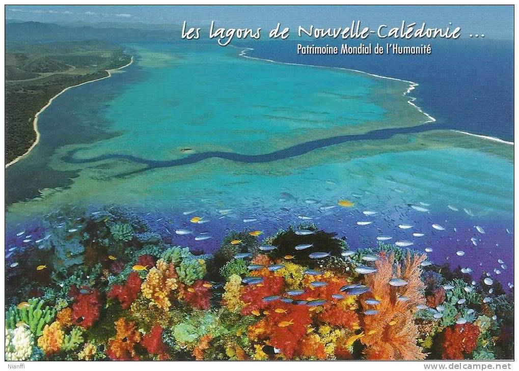 Nouvelle Calédonie - Les Lagons De Nouvelle Calédonie - Nueva Caledonia