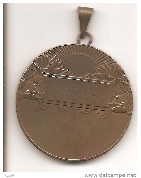 Médaille S E C  STRASBOURG 1967 - France