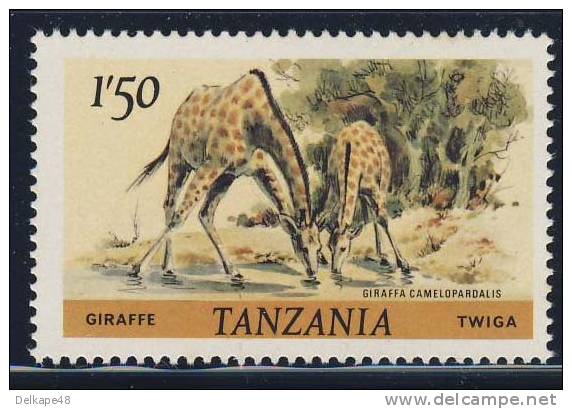 Tanzania 1980 Mi 168 A YT 170 SG 314 ** Giraffa Camelopardalis / Giraffe / Girafe / Twiga - Giraffen