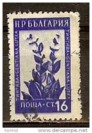 BULGARIA 1953 Flowers - 16s Great Yellow Gentian  FU - Used Stamps