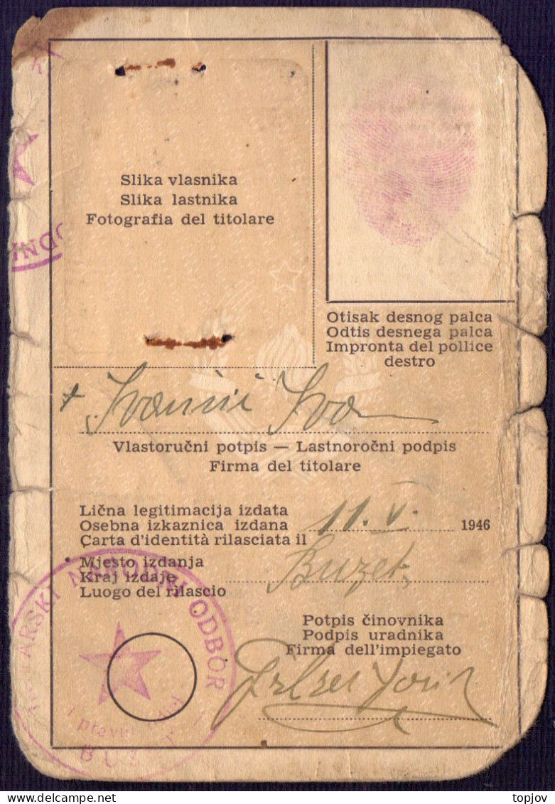 ISTRIA - RIJEKA -  BUZET - CARTA  D'IDENTITA - MARCA Da BOLLO   100,- Lir - 1946 - Marcophilie