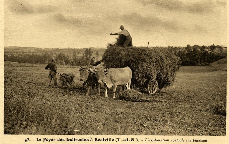 82 - REALVILLE - Le Foyer Des Indirectes - L´Exploitation Agricole ; La Fenaison - Realville