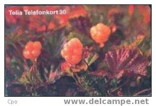 # SWEDEN 60111-353 Ripe 30 Orga 07.98 -fleurs,flowers- Tres Bon Etat - Zweden