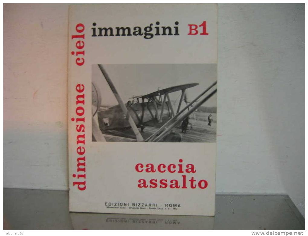 CACCIA   ASSALTO: Immaggini   B1 - History