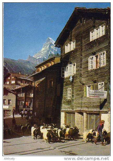Zermatt Ak47748 - Matt