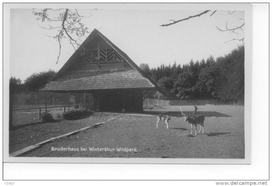 Bruderhaus Bei Winterthur Wildpark - Winterthur