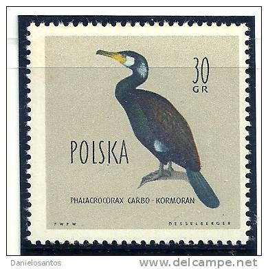 Polonia Poland 1960 Birds Oiseaux Aves Aquatic Marine Birds Common Raven Corvus Corax MNH - Palmípedos Marinos