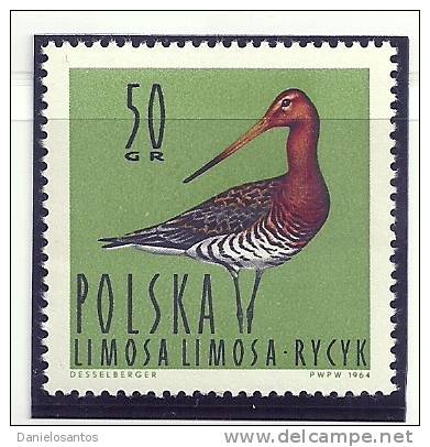 Polonia Poland 1964 Birds Oiseaux  Aves Aquatic Marine Birds Black-tailed Godwit Limosa Limosa MNH - Albatros