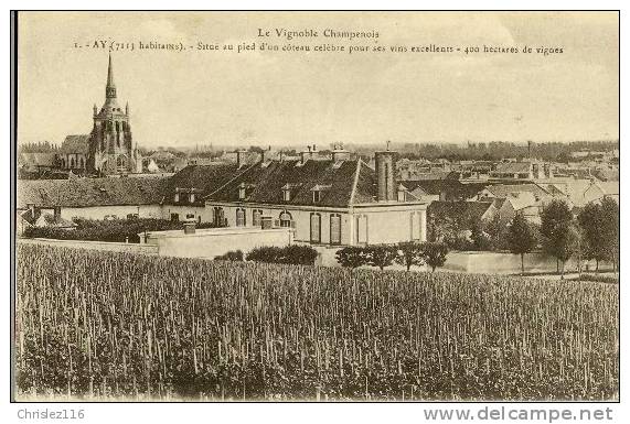 51 AY  Le Vignoble Champenois - Ay En Champagne