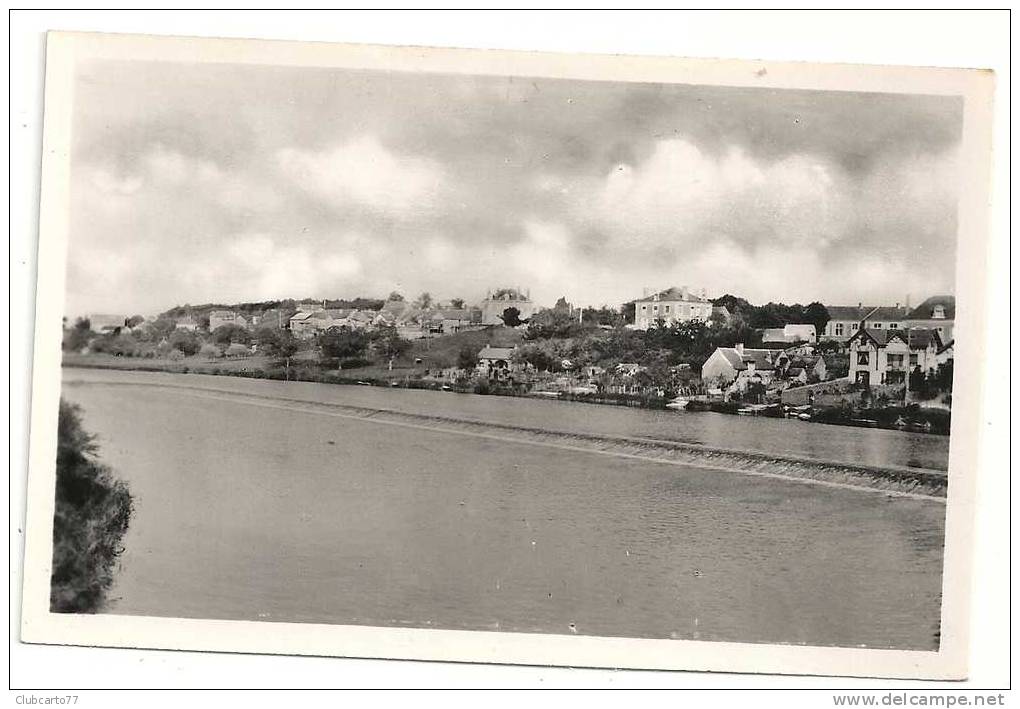 Malicorne-sur-Sarthe (72) : Les Villas Du Côteaux Env 1950. - Malicorne Sur Sarthe