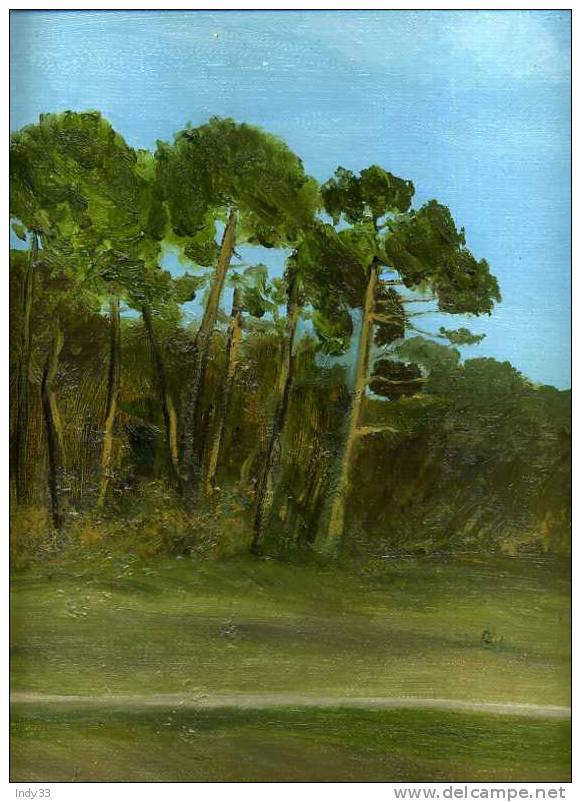 - PINEDE . HUILE SUR TOILE DE CHRISTINE GEORGES ..TITREE ET CONTRE SIGNEE AUDOS - Olii