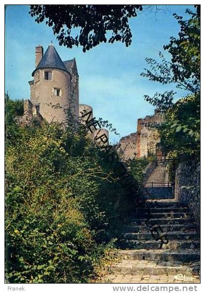 CP37369 - LUYNES - L'Escalier Du Château - Luynes