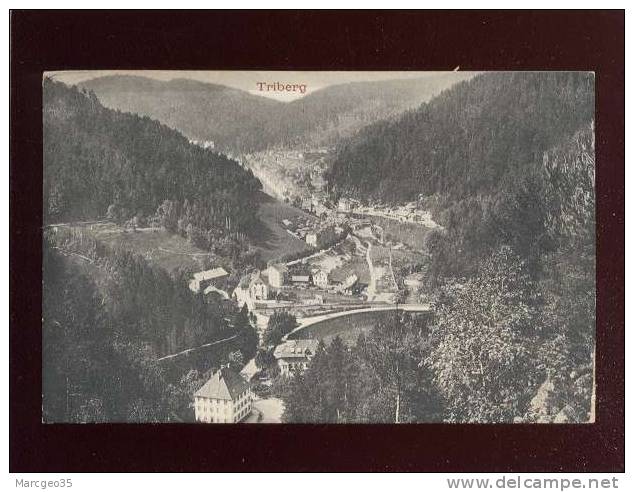 Triberg édit.felix Luib N° 27252 Rails Du Chemin De Fer - Triberg